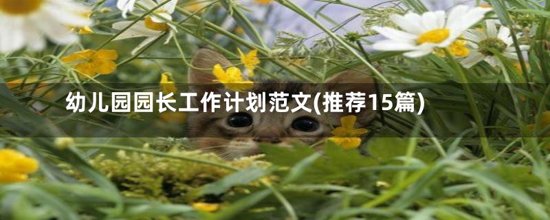 幼儿园园长工作计划范文(推荐15篇)