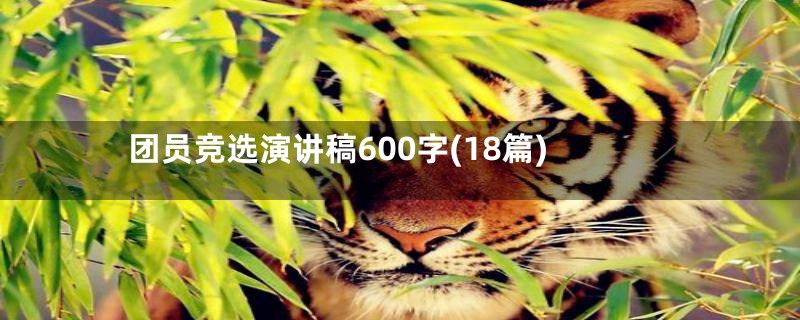 团员竞选演讲稿600字(18篇)