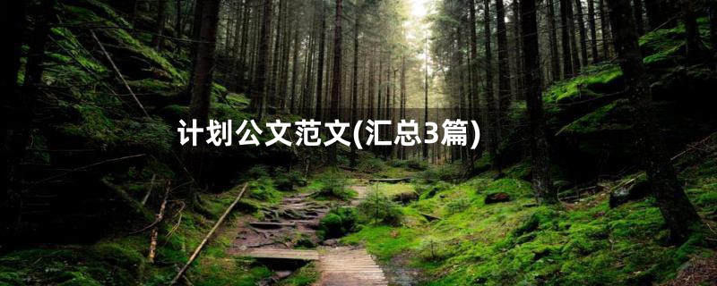 计划公文范文(汇总3篇)
