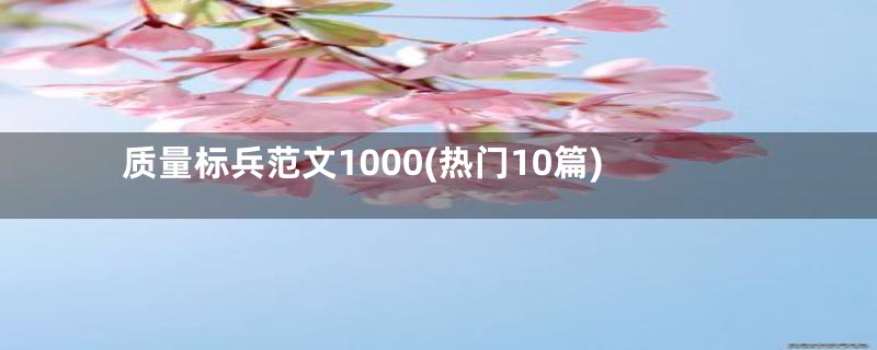 质量标兵范文1000(热门10篇)