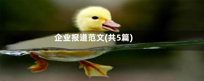企业报道范文(共5篇)