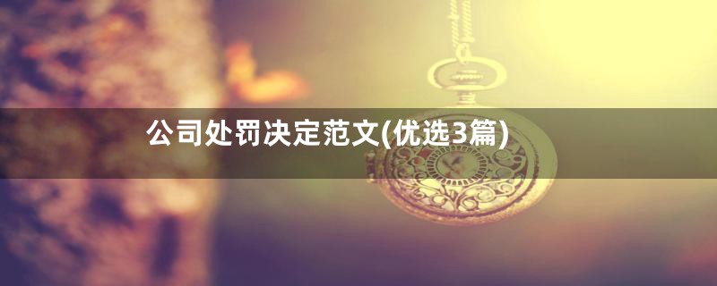 公司处罚决定范文(优选3篇)