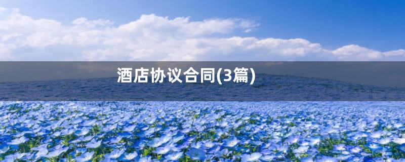 酒店协议合同(3篇)