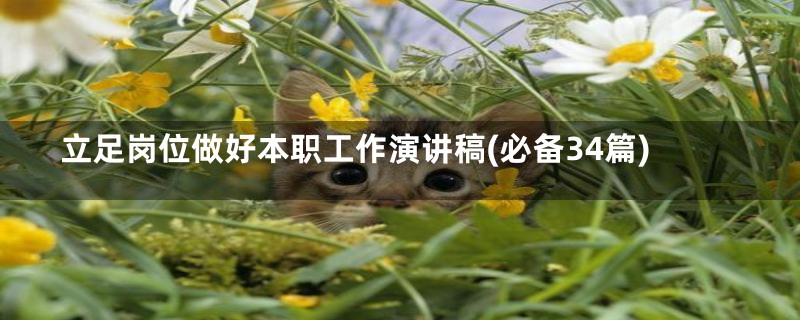 立足岗位做好本职工作演讲稿(必备34篇)