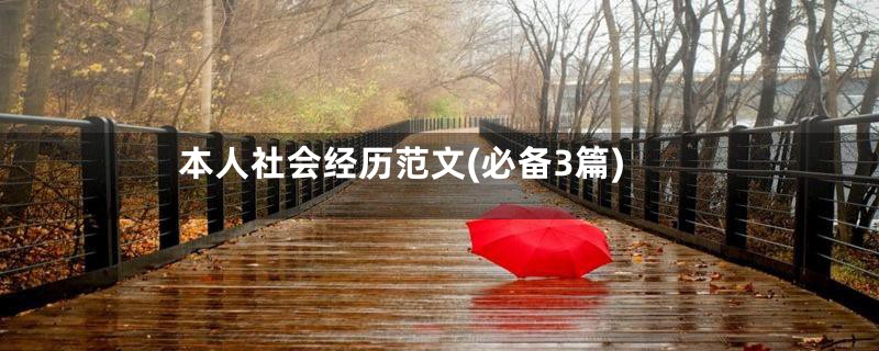 本人社会经历范文(必备3篇)