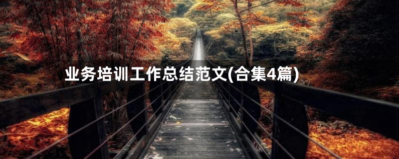 业务培训工作总结范文(合集4篇)