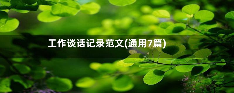 工作谈话记录范文(通用7篇)