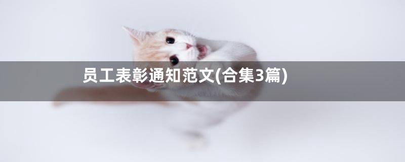 员工表彰通知范文(合集3篇)