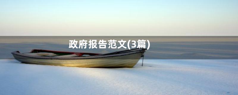 政府报告范文(3篇)
