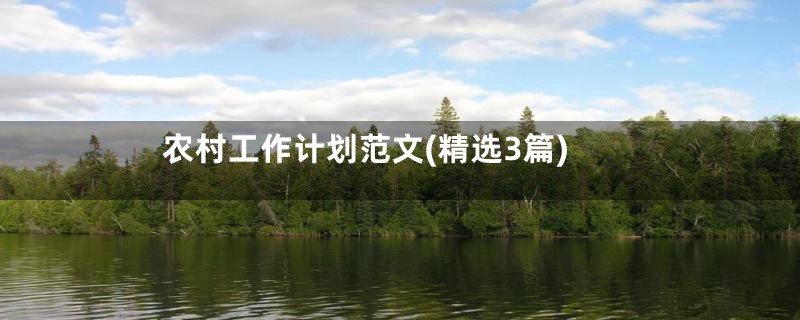 农村工作计划范文(精选3篇)