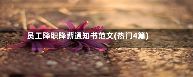 员工降职降薪通知书范文(热门4篇)