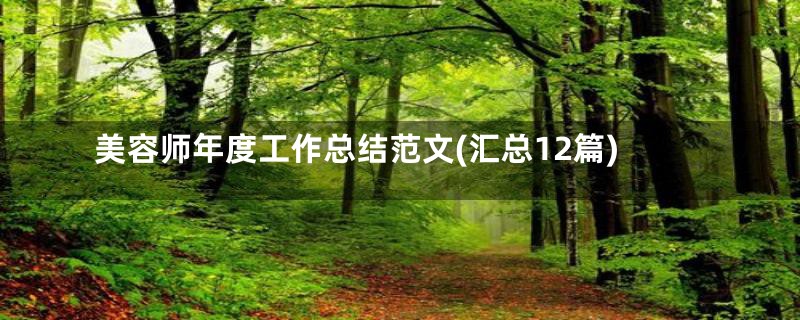 美容师年度工作总结范文(汇总12篇)