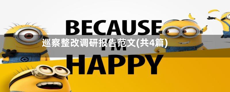 巡察整改调研报告范文(共4篇)