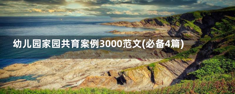 幼儿园家园共育案例3000范文(必备4篇)