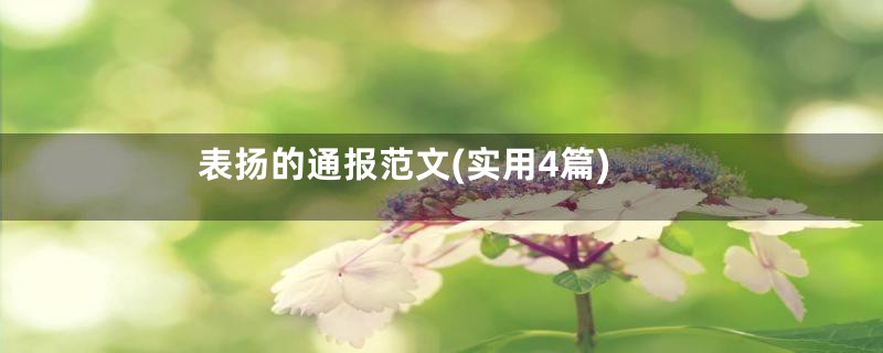 表扬的通报范文(实用4篇)