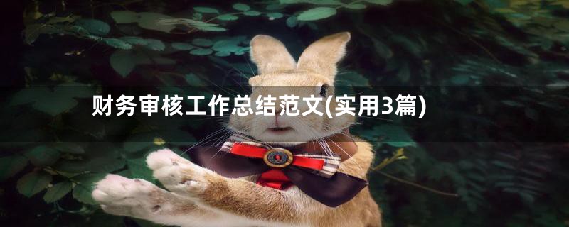 财务审核工作总结范文(实用3篇)
