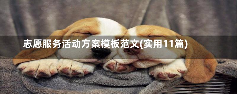志愿服务活动方案模板范文(实用11篇)