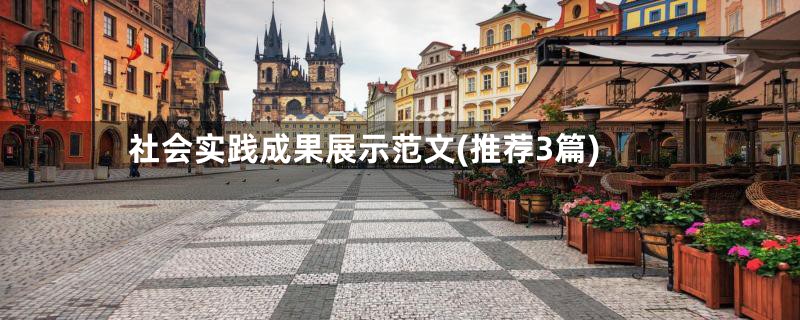 社会实践成果展示范文(推荐3篇)