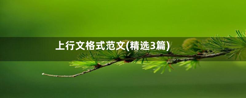 上行文格式范文(精选3篇)
