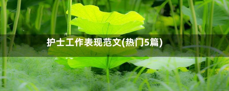 护士工作表现范文(热门5篇)