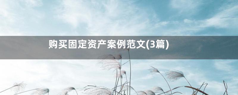 购买固定资产案例范文(3篇)