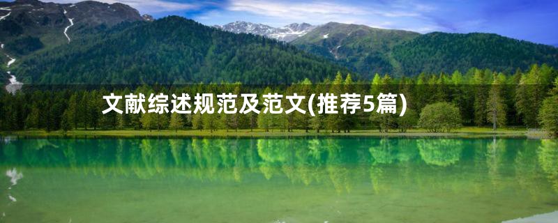 文献综述规范及范文(推荐5篇)
