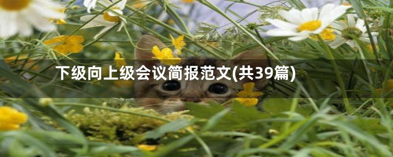下级向上级会议简报范文(共39篇)