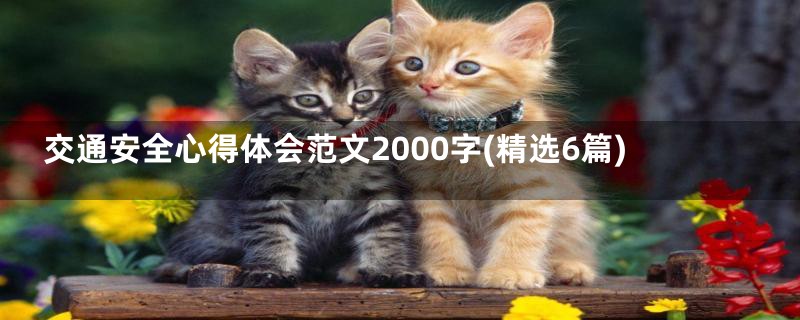交通安全心得体会范文2000字(精选6篇)