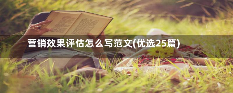 营销效果评估怎么写范文(优选25篇)