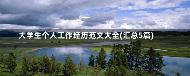 大学生个人工作经历范文大全(汇总5篇)