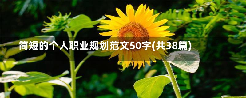 简短的个人职业规划范文50字(共38篇)