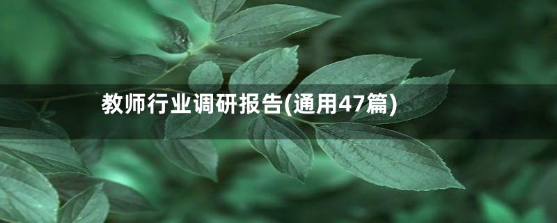 教师行业调研报告(通用47篇)