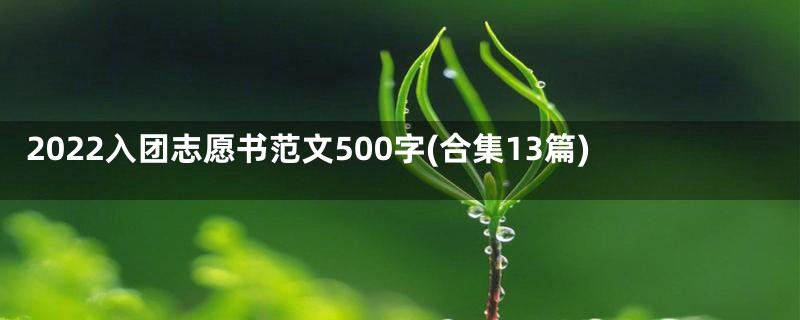 2022入团志愿书范文500字(合集13篇)