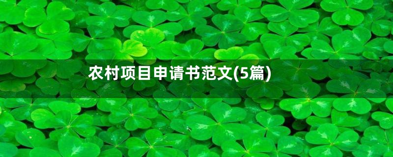 农村项目申请书范文(5篇)