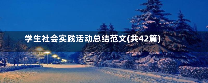 学生社会实践活动总结范文(共42篇)