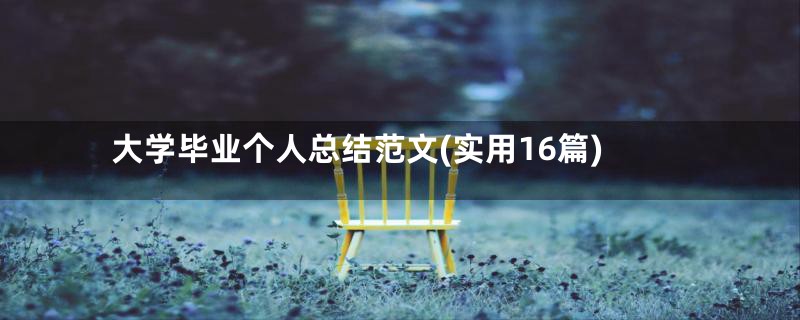 大学毕业个人总结范文(实用16篇)