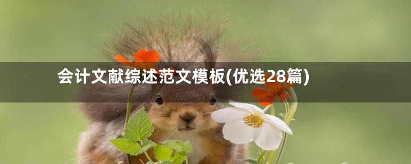 会计文献综述范文模板(优选28篇)