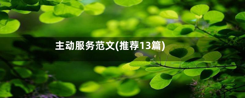 主动服务范文(推荐13篇)