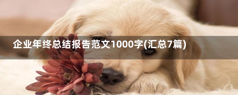 企业年终总结报告范文1000字(汇总7篇)