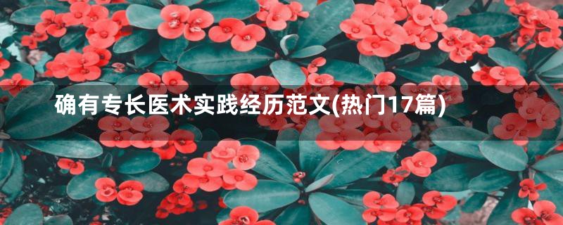 确有专长医术实践经历范文(热门17篇)