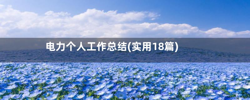 电力个人工作总结(实用18篇)