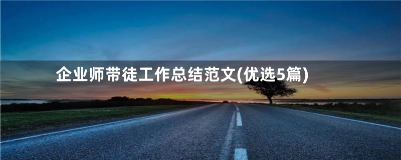 企业师带徒工作总结范文(优选5篇)