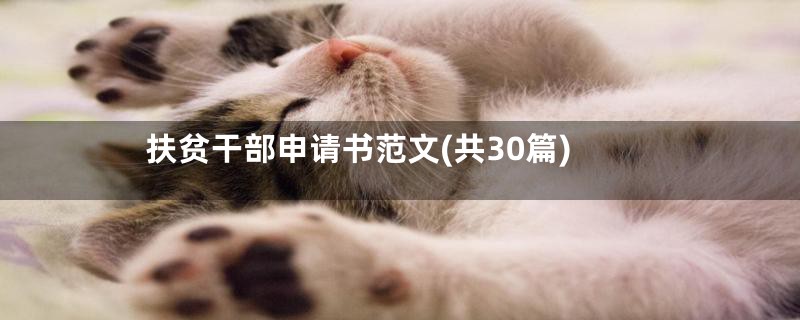 扶贫干部申请书范文(共30篇)
