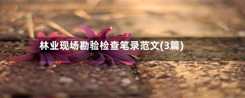 林业现场勘验检查笔录范文(3篇)
