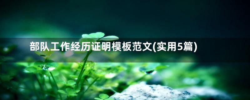 部队工作经历证明模板范文(实用5篇)