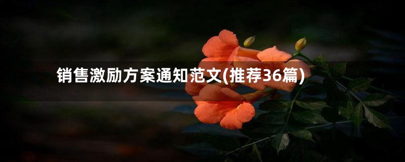 销售激励方案通知范文(推荐36篇)