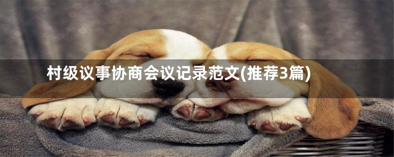 村级议事协商会议记录范文(推荐3篇)