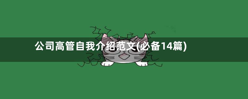 公司高管自我介绍范文(必备14篇)