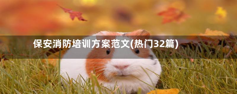 保安消防培训方案范文(热门32篇)
