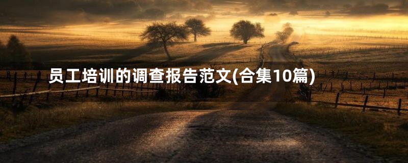 员工培训的调查报告范文(合集10篇)